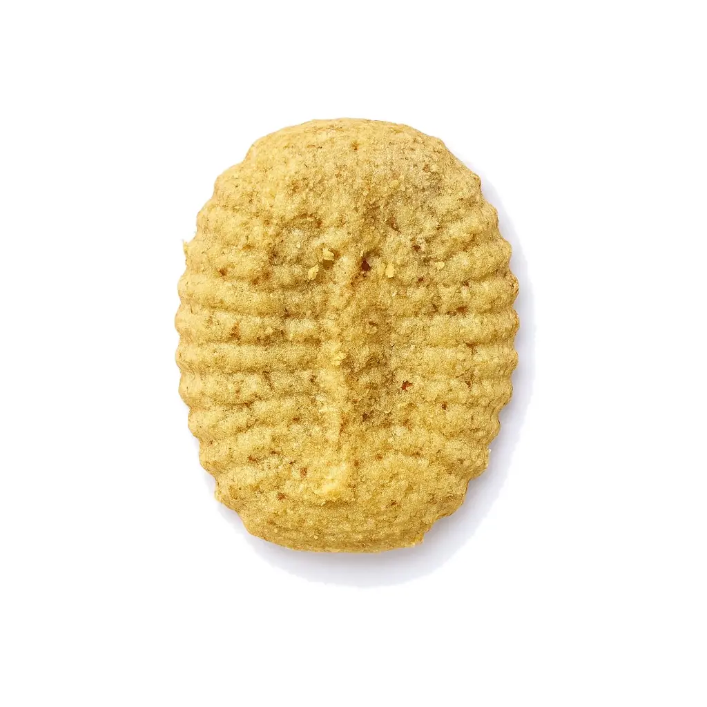 غريبة